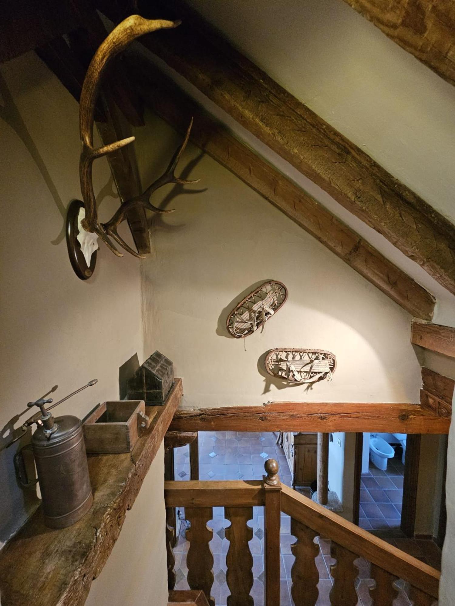 Imeda Casa Pinos